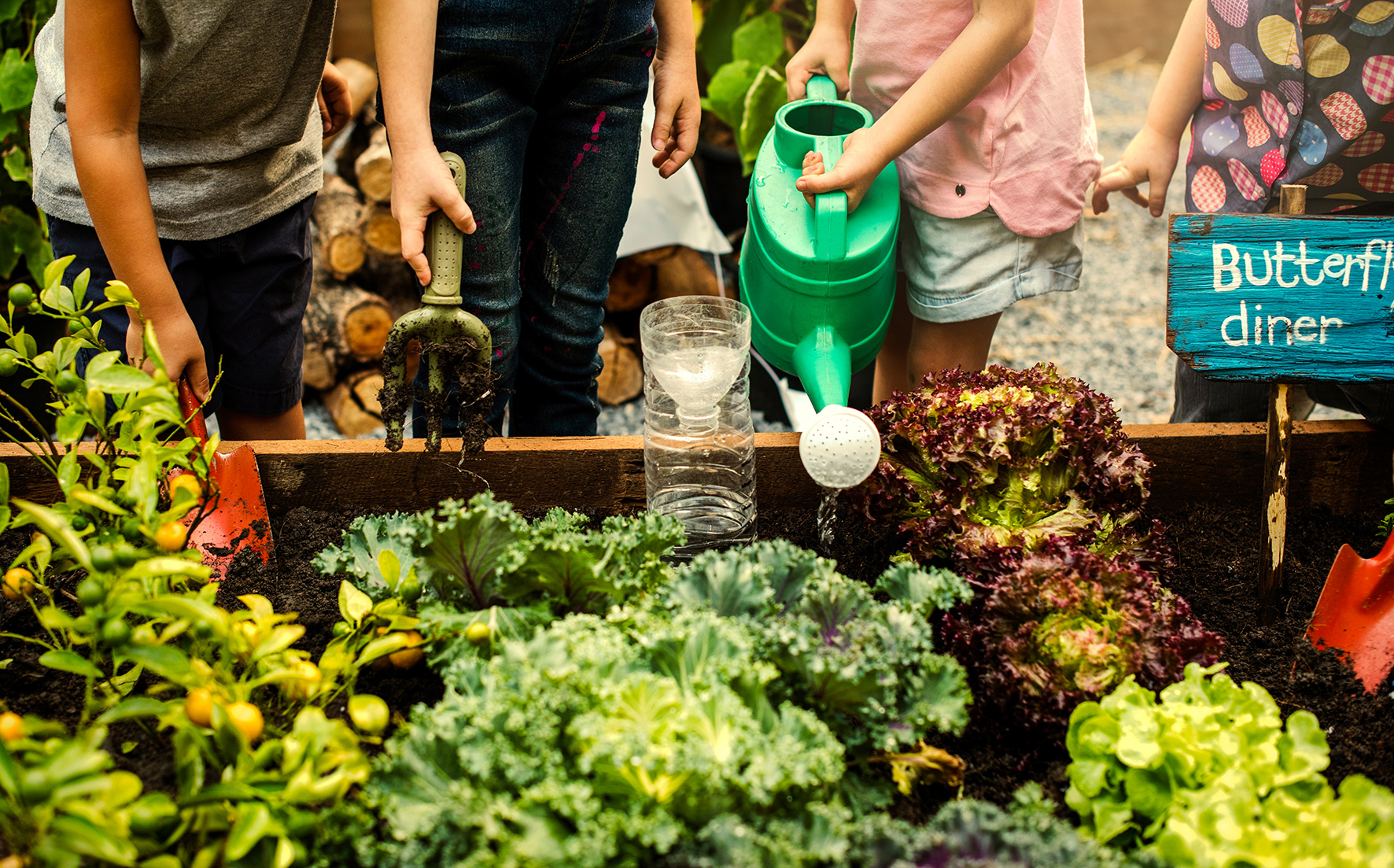 Penrose Community Garden The Loop
